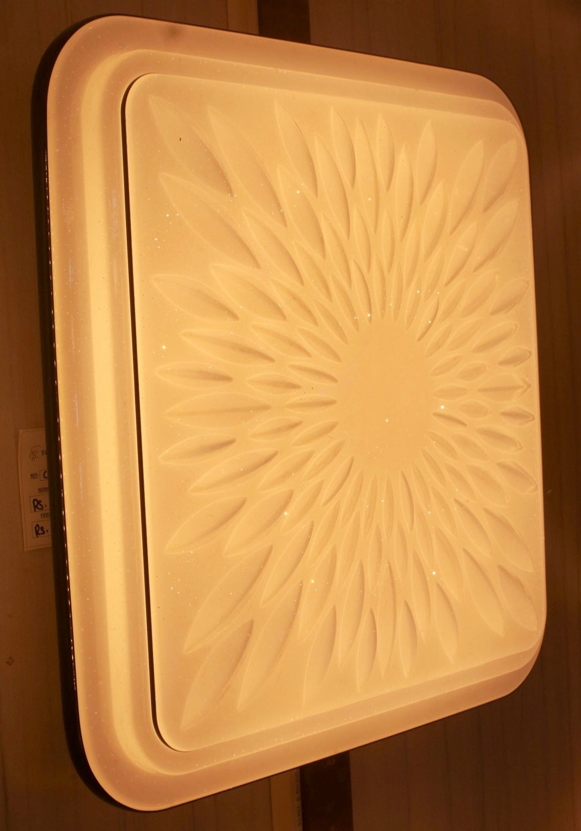 CEILING LIGHT C115