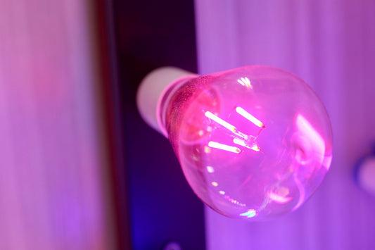 BULB LED EDISON 4W PINK