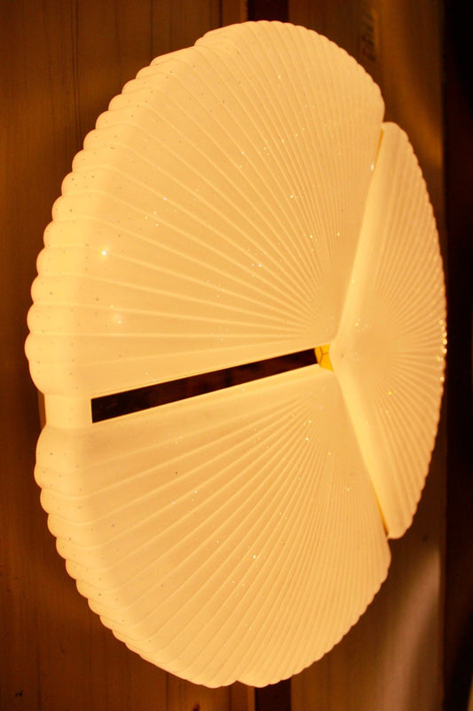 CEILING LIGHT C341