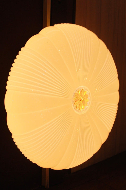 CEILING LIGHT C344