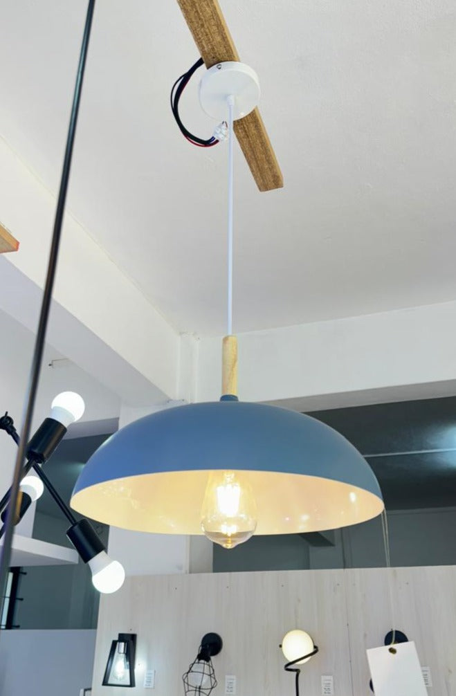 PENDANT LIGHT H309