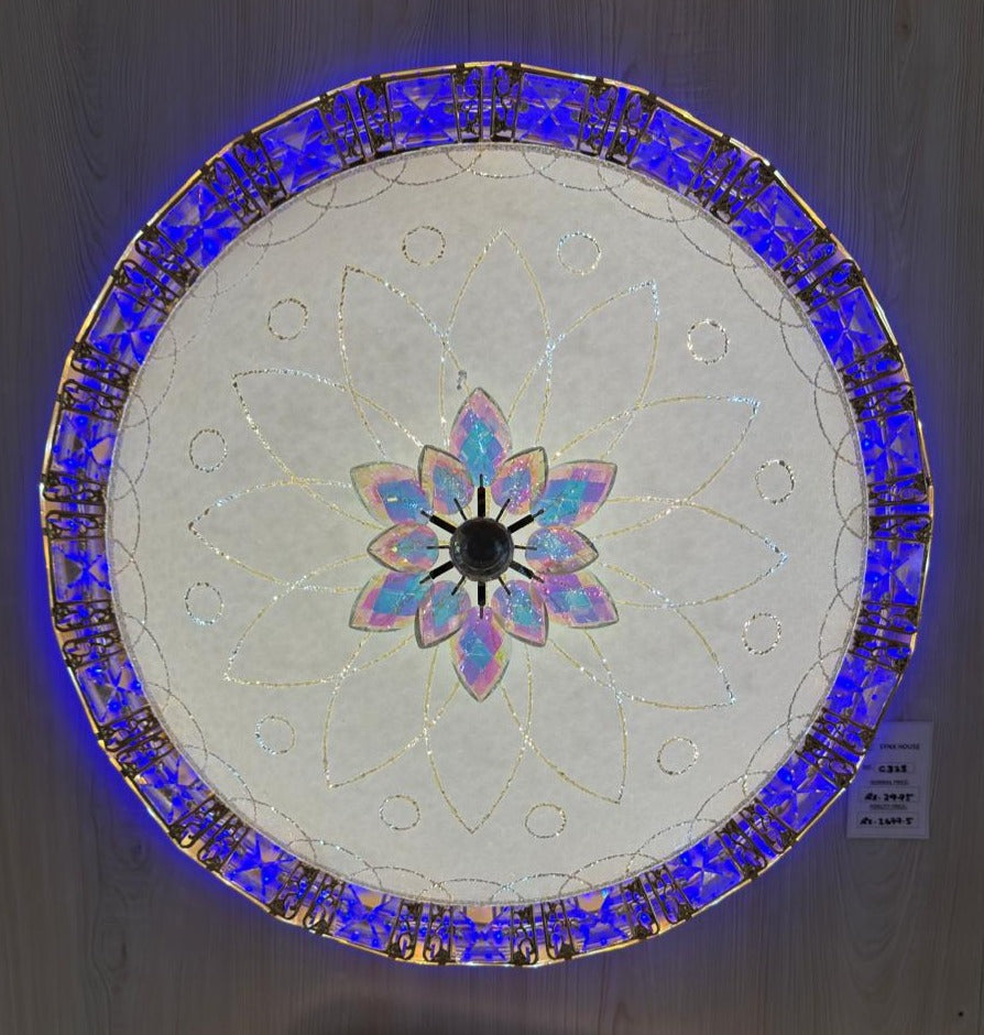 CEILING LIGHT C323